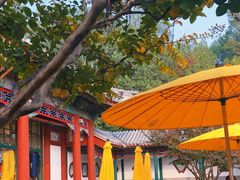 -宫事颐庭·老佛爷贵寿下午茶(颐和园店)