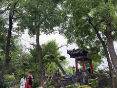 -莲湖公园