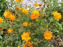 -华南国家植物园-售票处