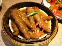 -南枝记