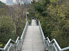 -佛山华盖山公园