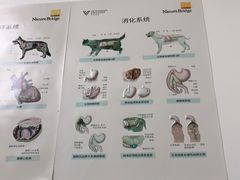 -安安宠医·臻爱宠物医院·宠保定点(营门口路分院)
