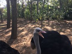 -大连森林动物园