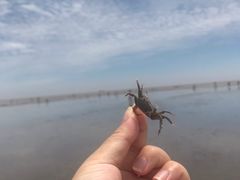 -奉贤海滩