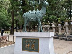 -奈良公园