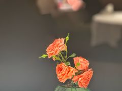 -许家菜(DT51店)