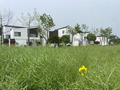 -东梓关景区村庄