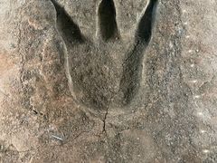 -湖南省地质博物馆