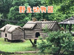 -上海野生动物园