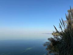 -呈贡滇池生态湿地公园