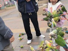 -国色天乡三期陆地乐园