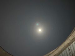 -嘉定凯悦·咖啡厅