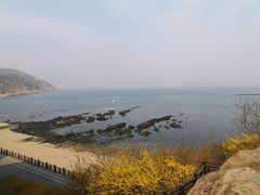 -棒棰岛宾馆景区