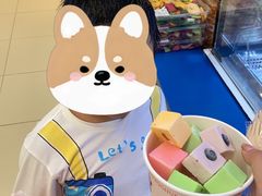 -盒马X会员店(上海森兰商都店)