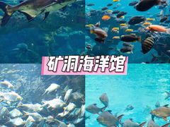 -长鹿旅游休博园