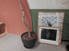 -Catch Bagel(芳草地店)