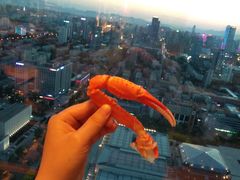 -视界美食自助餐厅·石家庄希尔顿酒店