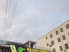 -霞姐屯昌枫木香草鸭店(海螺店)