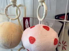 -初色海鲜自助(万丰路店)