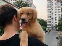 -Goku PET SHOP宠物视觉生活馆(双井店)