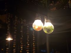 -胡桃里音乐酒馆(东区店)