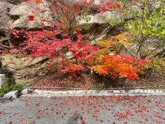 -丹东凤凰山景区