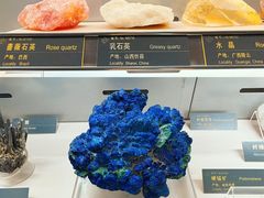 -中国地质博物馆