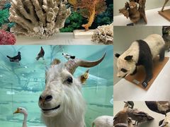 -国家自然博物馆