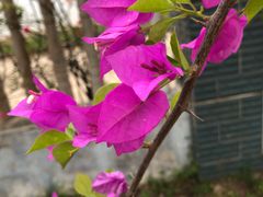 -白沙门生态公园