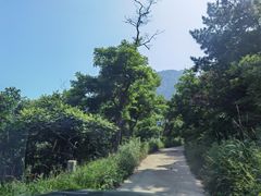 -广鹿岛景区