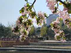 -元大都城垣遗址公园