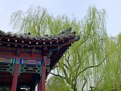 -福顺祥大盘鸡(临潼店)