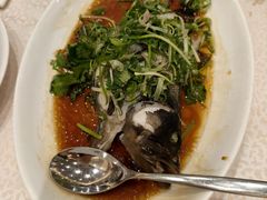 -海港酒家(上水新丰店)