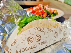taco-油梨树AVOCADO TREE(顺义新国展店)