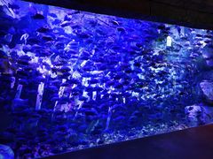 -波塞冬旅游度假区