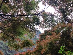 -雁荡山风景名胜区