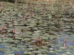 -红色娘子军纪念园