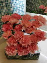 -海豚湾高端月子会所(黄浦店)