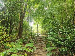 -上海吴淞炮台湾国家湿地公园