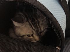 -美联众合动物医院·24h京西诊疗中心