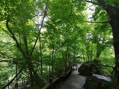 -天女山森林公园