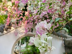 -深圳国际园林花卉博览园