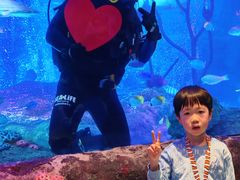 -沈阳海洋探索中心