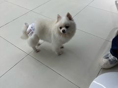 -怪兽屋·羊驼·猫咖·狗咖(俊华广场店)