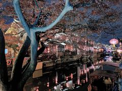-山塘街