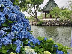 -无锡蠡湖国家湿地公园-蠡园