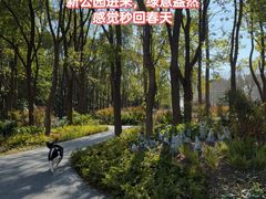 -上海山野camping·户外天幕烧烤·团建拓展营地