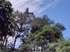 -广东金融学院(校本部)