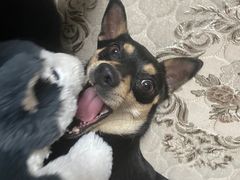 -大象厨房(重庆道店)