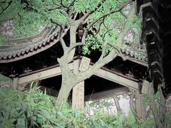 -沧浪亭
